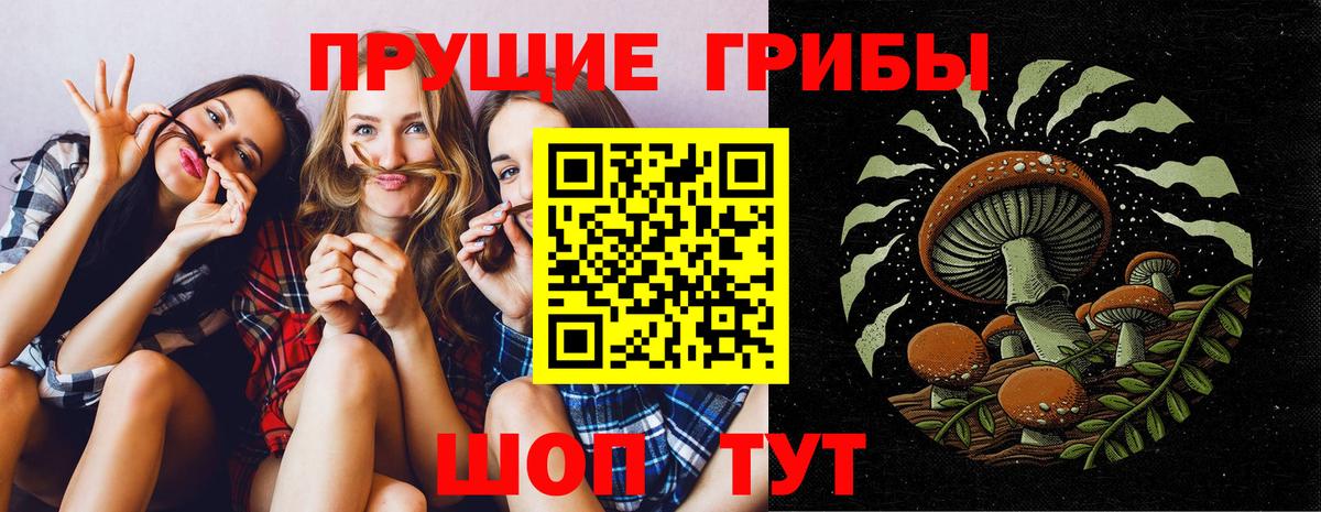 Псилоцибиновые грибы Psilocybine cubensis  Псилоцибиновые грибы ЛСД  Вход с VPN  Новочебоксарск 