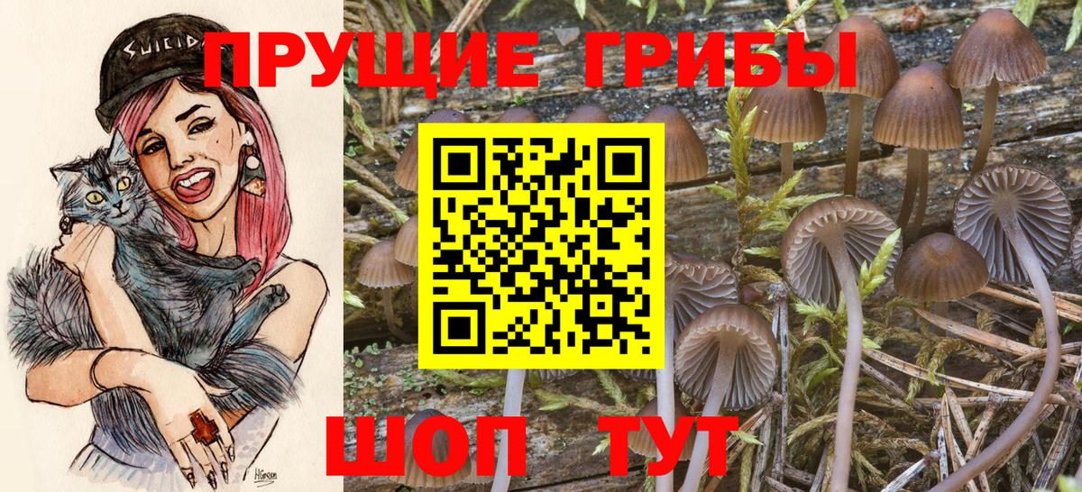 Галлюциногенные грибы MAGIC MUSHROOMS Новочебоксарск